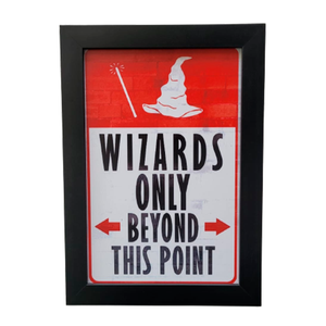 Cuadro Harry Potter 2